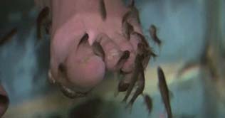 Pairs: New, unusual form of pedicure treatment